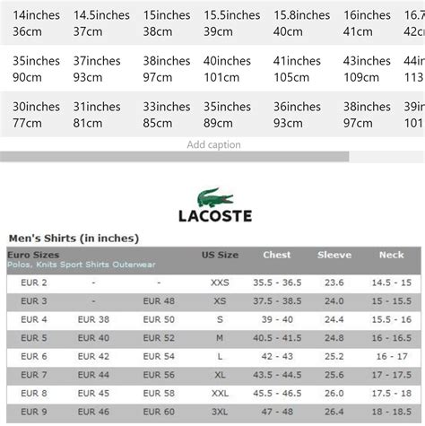 lacoste pants size chart.